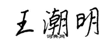 王正良王潮明行书个性签名怎么写
