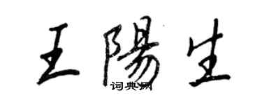 王正良王阳生行书个性签名怎么写