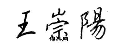 王正良王崇阳行书个性签名怎么写