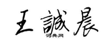 王正良王诚晨行书个性签名怎么写