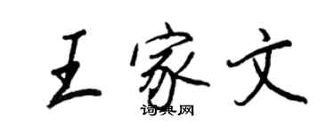 王正良王家文行书个性签名怎么写