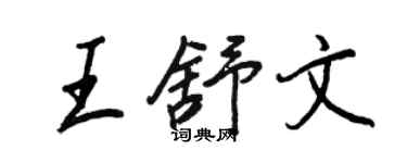 王正良王舒文行书个性签名怎么写