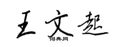 王正良王文起行书个性签名怎么写