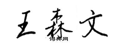 王正良王森文行书个性签名怎么写