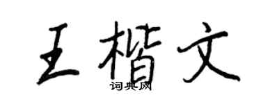 王正良王楷文行书个性签名怎么写