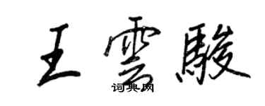 王正良王云骏行书个性签名怎么写