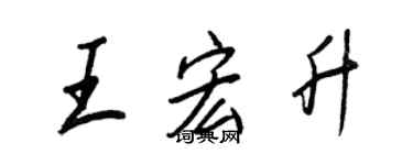 王正良王宏升行书个性签名怎么写