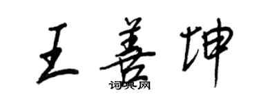 王正良王善坤行书个性签名怎么写