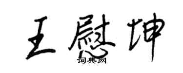 王正良王慰坤行书个性签名怎么写