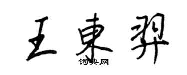 王正良王东羿行书个性签名怎么写