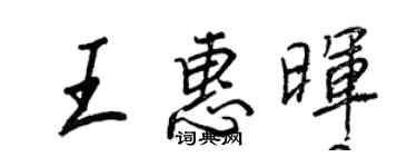 王正良王惠晖行书个性签名怎么写