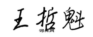 王正良王哲魁行书个性签名怎么写