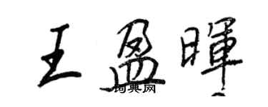 王正良王盈晖行书个性签名怎么写