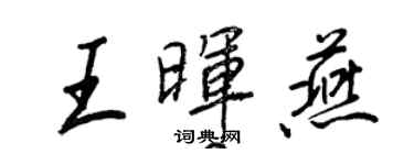 王正良王晖燕行书个性签名怎么写