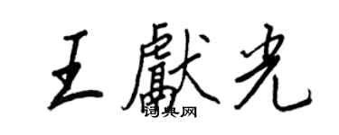 王正良王献光行书个性签名怎么写