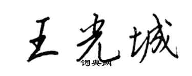 王正良王光城行书个性签名怎么写