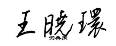 王正良王晓环行书个性签名怎么写