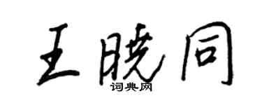 王正良王晓同行书个性签名怎么写