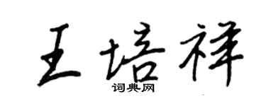 王正良王培祥行书个性签名怎么写