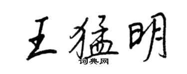 王正良王猛明行书个性签名怎么写
