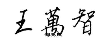 王正良王万智行书个性签名怎么写