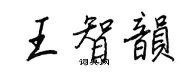 王正良王智韵行书个性签名怎么写