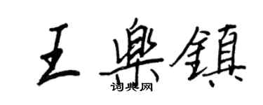 王正良王乐镇行书个性签名怎么写