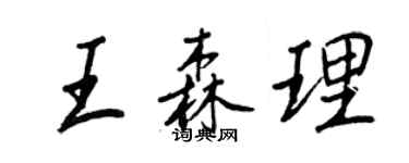 王正良王森理行书个性签名怎么写