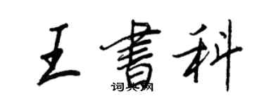 王正良王书科行书个性签名怎么写