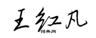 王正良王红凡行书个性签名怎么写