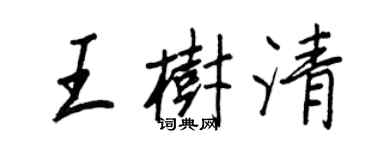 王正良王树清行书个性签名怎么写