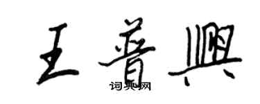 王正良王普兴行书个性签名怎么写