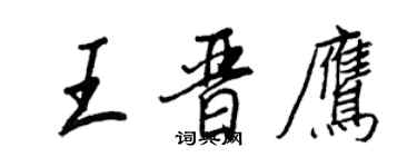 王正良王晋鹰行书个性签名怎么写