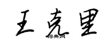 王正良王克里行书个性签名怎么写