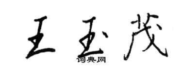 王正良王玉茂行书个性签名怎么写