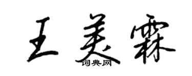 王正良王美霖行书个性签名怎么写