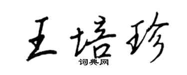 王正良王培珍行书个性签名怎么写