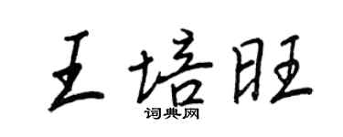 王正良王培旺行书个性签名怎么写