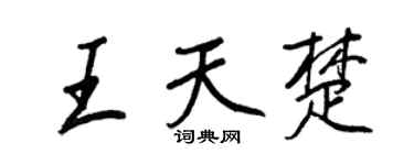 王正良王天楚行书个性签名怎么写