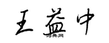 王正良王益中行书个性签名怎么写