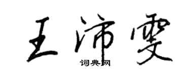 王正良王沛雯行书个性签名怎么写