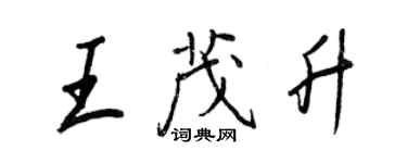 王正良王茂升行书个性签名怎么写