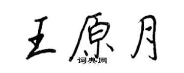 王正良王原月行书个性签名怎么写