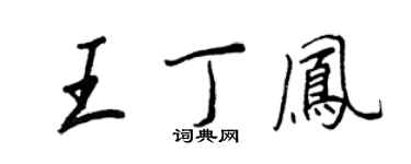 王正良王丁凤行书个性签名怎么写