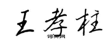 王正良王孝柱行书个性签名怎么写