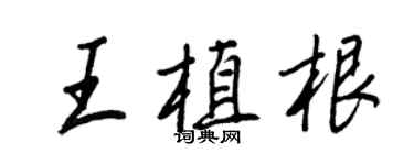 王正良王植根行书个性签名怎么写