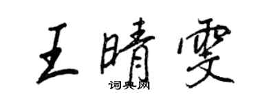 王正良王晴雯行书个性签名怎么写
