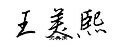 王正良王美熙行书个性签名怎么写