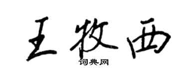 王正良王牧西行书个性签名怎么写