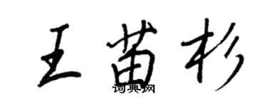 王正良王苗杉行书个性签名怎么写